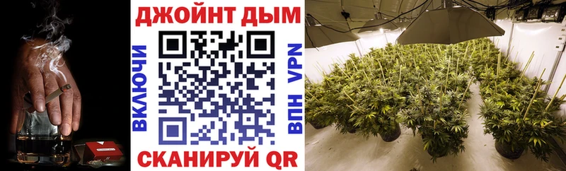 Наркошоп купить Альфа ПВП  МЕФ  Псилоцибиновые грибы  Cocaine  Каннабис  Гаджиево