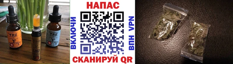 Купить  Гаджиево  Canna-Cookies конопля 