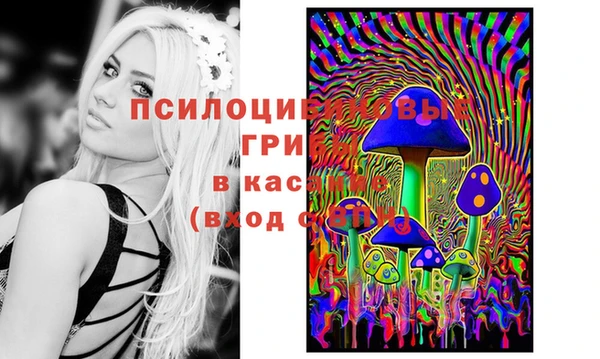 Альфа ПВП Бронницы